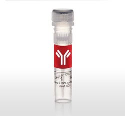 Cargille Storage Boxes