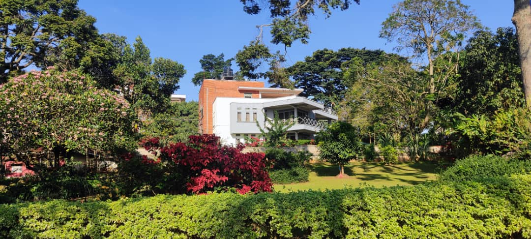 Molecular Diagnostics